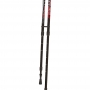 Armed STC033 палки для скандинавской ходьбы
