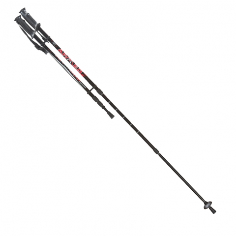 Armed STC033 палки для скандинавской ходьбы